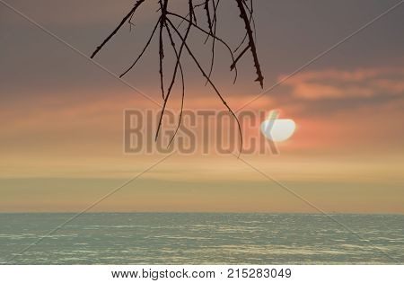 Extremely beautiful sunset and branch on beach