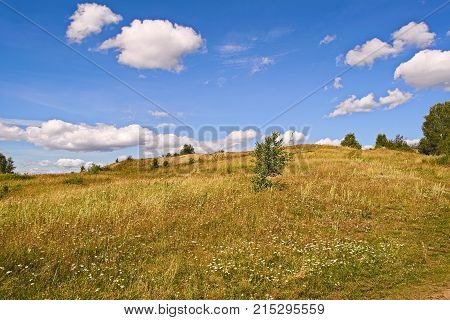 Summer Landscapes
