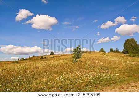 Summer Landscapes