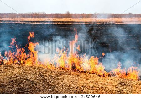 Incendie sur la Nature