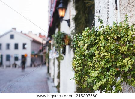 Houses with christmas decoration in Gothenbur, Sweden