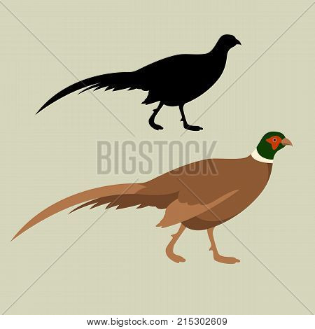 pheasant vector illustration flat style silhouette set