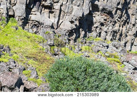 Slope Of Almannagja Fault In Thingvellir Park