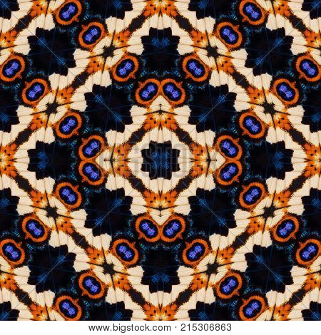 Background Created From Buttterfly Wings