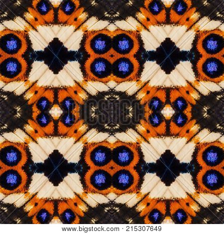 Background Created From Buttterfly Wings