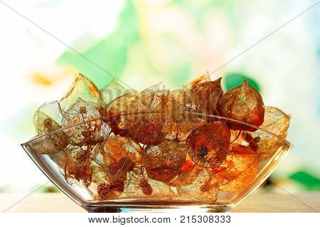 Glass Bowl with weathered Physalis alkekengi - Autumnal Decoration