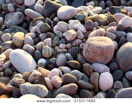 Smooth colored stones illuminated by the setting sun. Stones of different shapes colors and sizes.