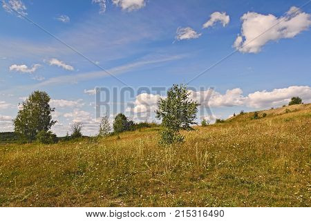 Rural Summer Landscapes