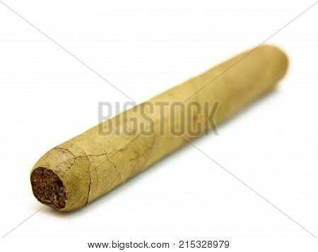 Cuban Cigar