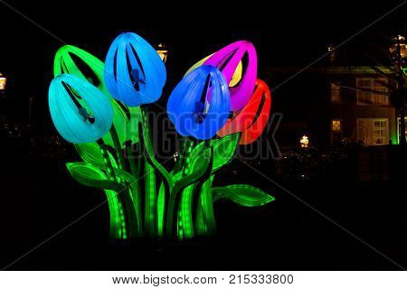 Amsterdam Netherlands - January 14 2017: Tulips by night at Amsterdam Light Festival