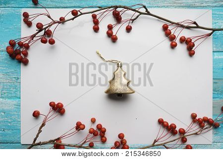 White background with branches with small apples,  close-up, Top view