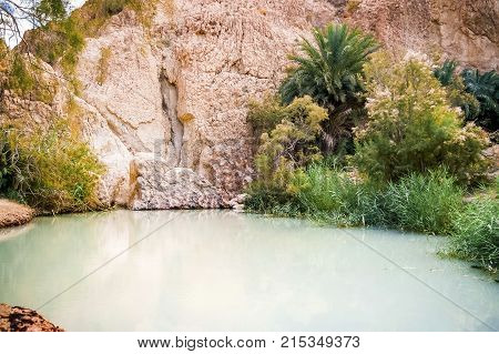 Pond among the rocks of oasis Chebika famous landmark in Sahara desert.