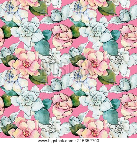 Wildflower gardenia flower pattern in a watercolor style. Full name of the plant: gardenia . Aquarelle wild flower for background, texture, wrapper pattern, frame or border.