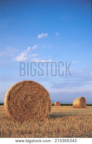 Agricultural landscape Switzerland Straw Clouds Horizon Blue