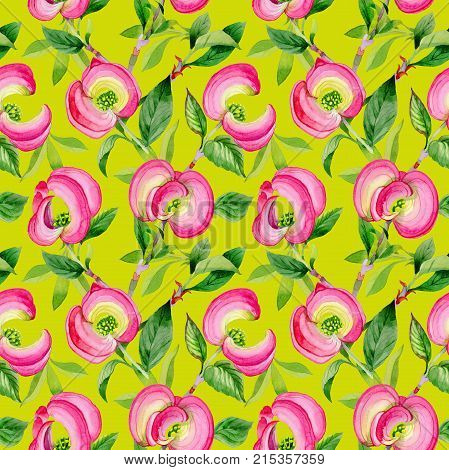 Wildflower cornos Florida flower pattern in a watercolor style. Full name of the plant: cornos. Aquarelle wild flower for background, texture, wrapper pattern, frame or border.