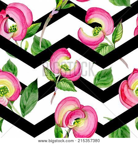 Wildflower cornos Florida flower pattern in a watercolor style. Full name of the plant: cornos. Aquarelle wild flower for background, texture, wrapper pattern, frame or border.