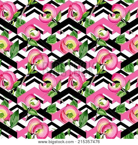Wildflower cornos Florida flower pattern in a watercolor style. Full name of the plant: cornos. Aquarelle wild flower for background, texture, wrapper pattern, frame or border.