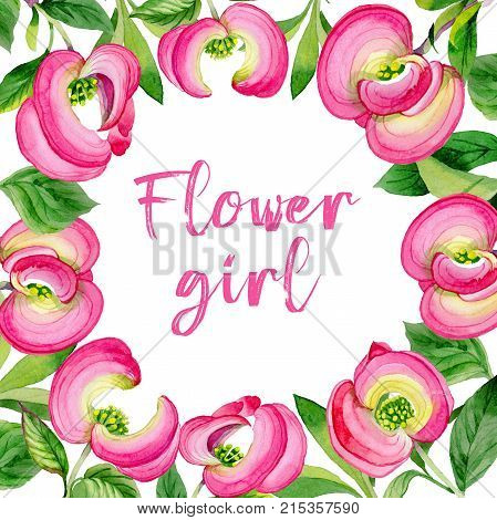 Wildflower cornos Florida flower frame in a watercolor style. Full name of the plant: cornos. Aquarelle wild flower for background, texture, wrapper pattern, frame or border.