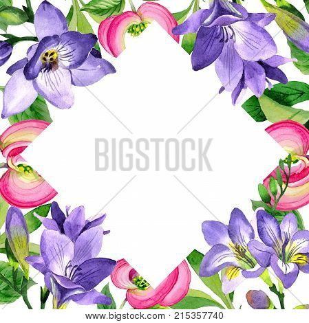 Wildflower cornos Florida flower frame in a watercolor style. Full name of the plant: cornos. Aquarelle wild flower for background, texture, wrapper pattern, frame or border.