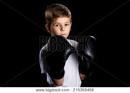 Little boxer portrait in black boxing gloves in defensive position.