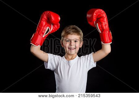 Extremely happy and successful little boxer with both hands up in red boxing gloves.