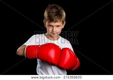 A confident, angry boxer portrait with red boxing gloves together. The defend position portrait on the black background.