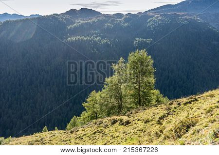 Mountains peaks and trees landscape natural environment. Timmelsjoch High Alpine Road. Passo del Rombo the highest pass of the Eastern Alps. Ötztal valley Tyrol Austria Europe