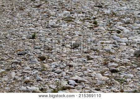 Polished stone by water, upes gultne .