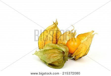 close up from Cape Gooseberry isolated on white background