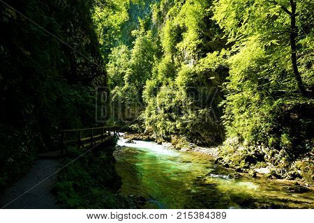 Vintgar Gorge radovna river and trees in Podhom Slovenia