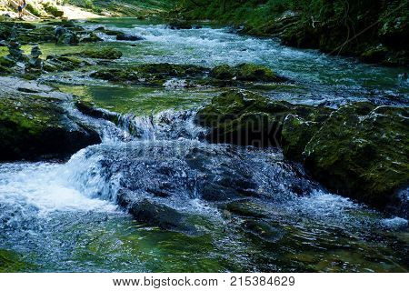 Mossy rocks in the Radovna river near Podhom Slovenia