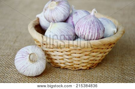 Solo garlic or single clove garlic in basket on sack background