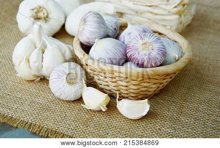 Solo garlic or single clove garlic in basket on sack background