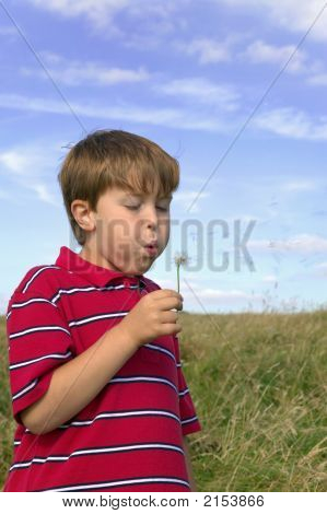 Kind weht ein Löwenzahn