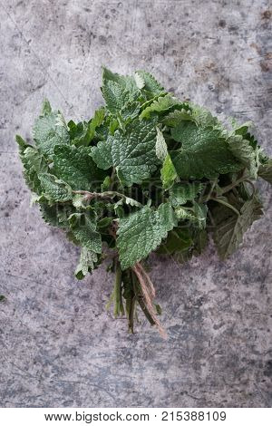 Melissa Plant. Lemon Balm In The Garden. Herb Plant In The Wild Nature.