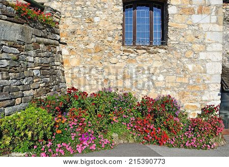 Wall and flowers in Landskron Austria in summer time