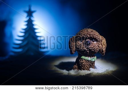 Toy Dog - A Symbol Of The New Year Under The Snow Against The Background Of Fir Branches. Toy's Dog 