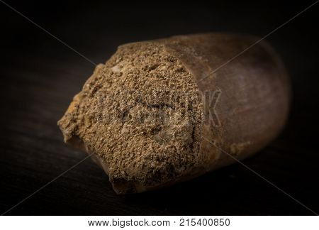 Macro photograph of Fossilized Plesiosaurus tooth on wood background
