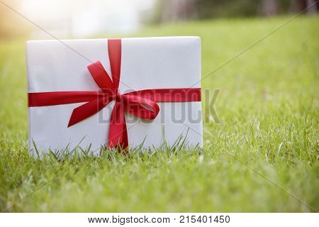 Close up white gift box with red ribbon on green grass background for Christmas and New year. Copy space.