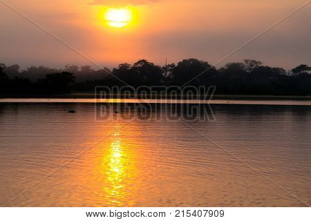 Panorama From Amazon Rainforest, Brazilian Wetland Region.