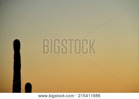 Silhouette Of A Saguaro With The Sky As Copy Space