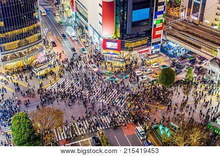 Shibuya, Tokyo, Japan crosswalk and cityscape.