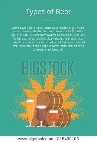Types of beer degustation vector illustration on green. Wheat, wooden barrels and three glasses draught pale and dark beers on background of wheat.