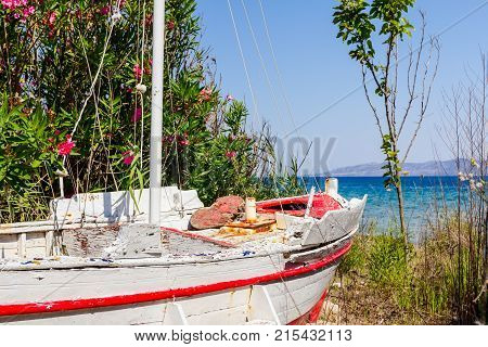 Overgrown in weed old wooden sailboat is dry docked withdrawn to the beach.