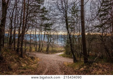 Little crossroads in the middle of the forest