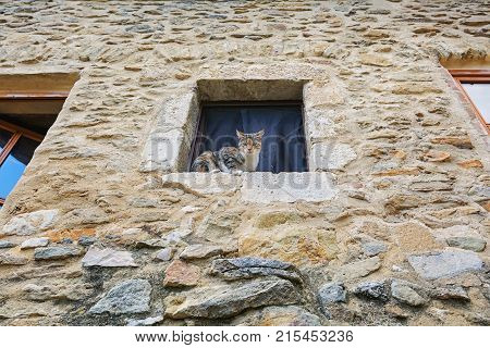 Cat on the windowsill of an old house in the French village of Saint Montan in the Ardeche region of France.