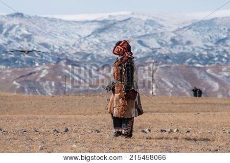 the golden eagle flying towards  pray, traing by mongolian kazakh during the golden eagle festival in mongolia