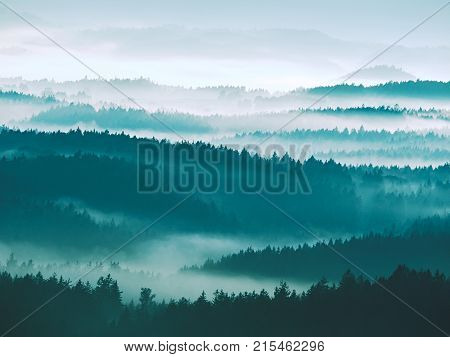 Autumn Sunrise. Deep Forest In A Beautiful Hilly Landscape Within Inversion Weather.