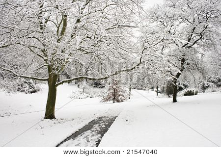 Park karlı yol