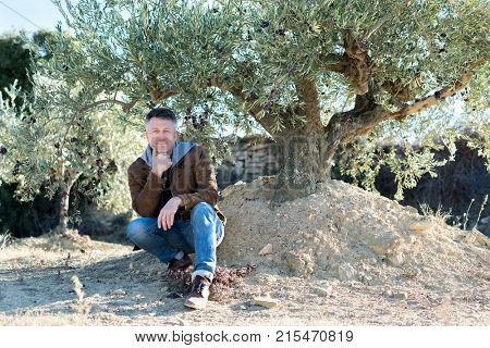 Handsome man posing in olive trees garden. Male portrain over mediterranean olive field ready for harvest. Confident mature man in spanish olive's grove with ripe fresh olives.